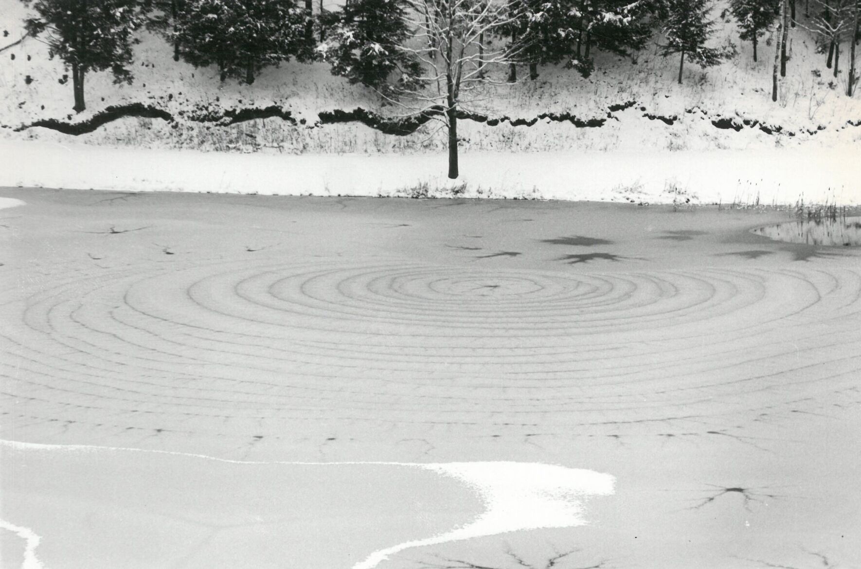 Pond, New Lebanon, N.Y.